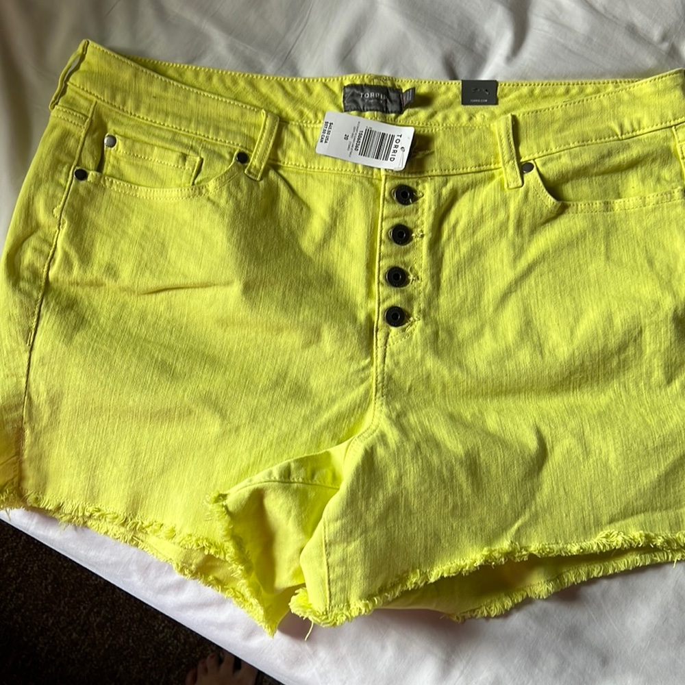 Torrid shorts